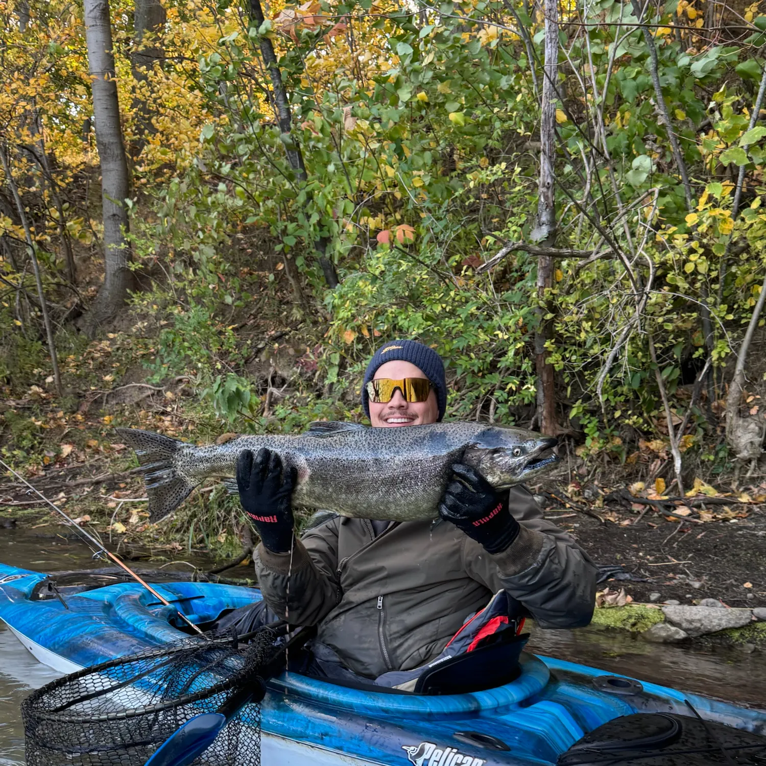 Chinook salmon caught on Fishbrain