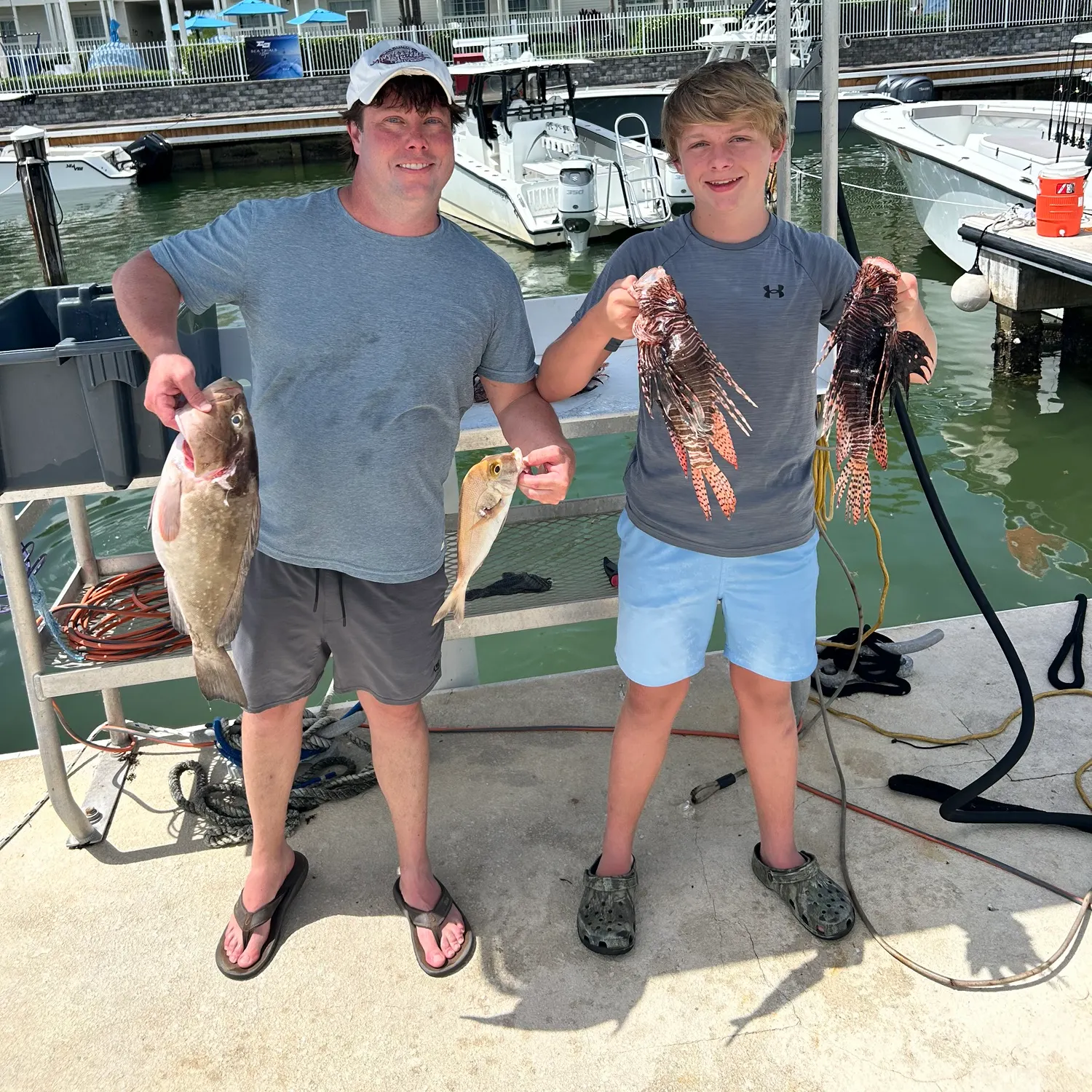 The most recent Black grouper catches on Fishbrain
