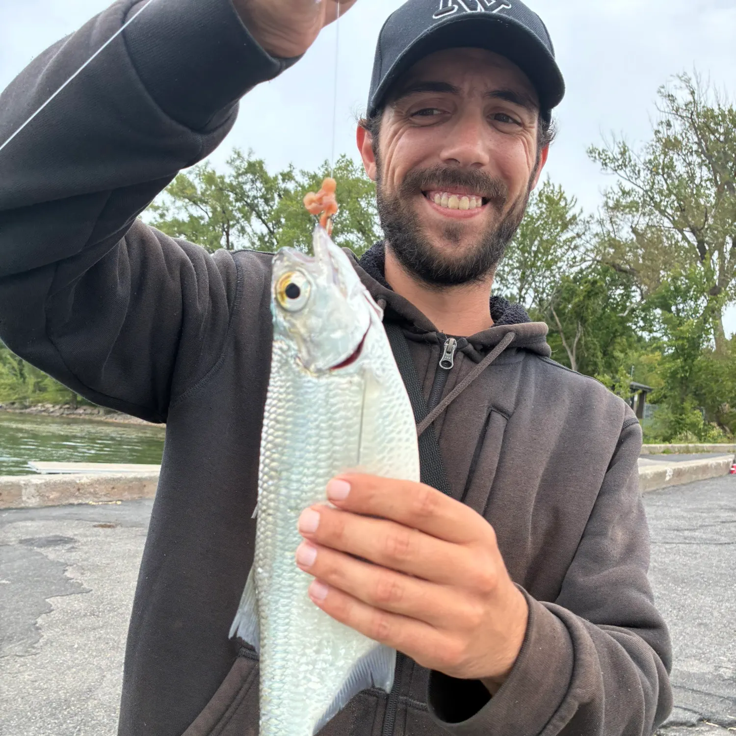 Goldeye caught on Fishbrain