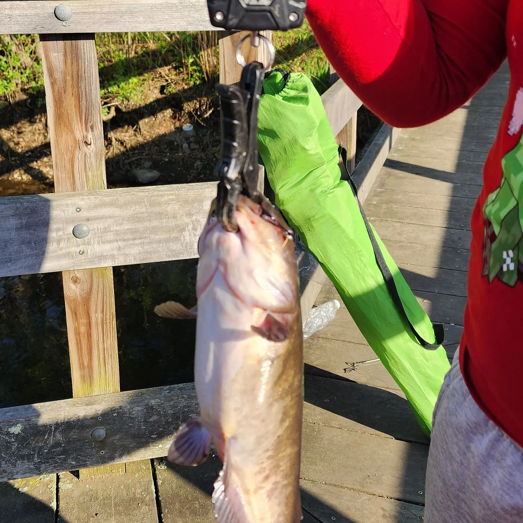 catch