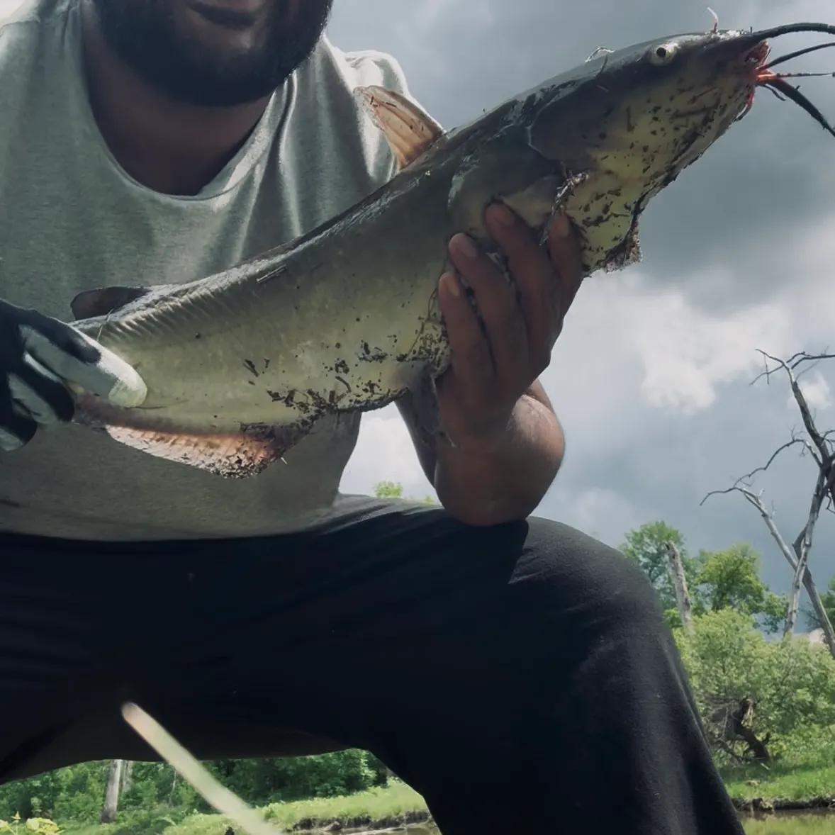 catch