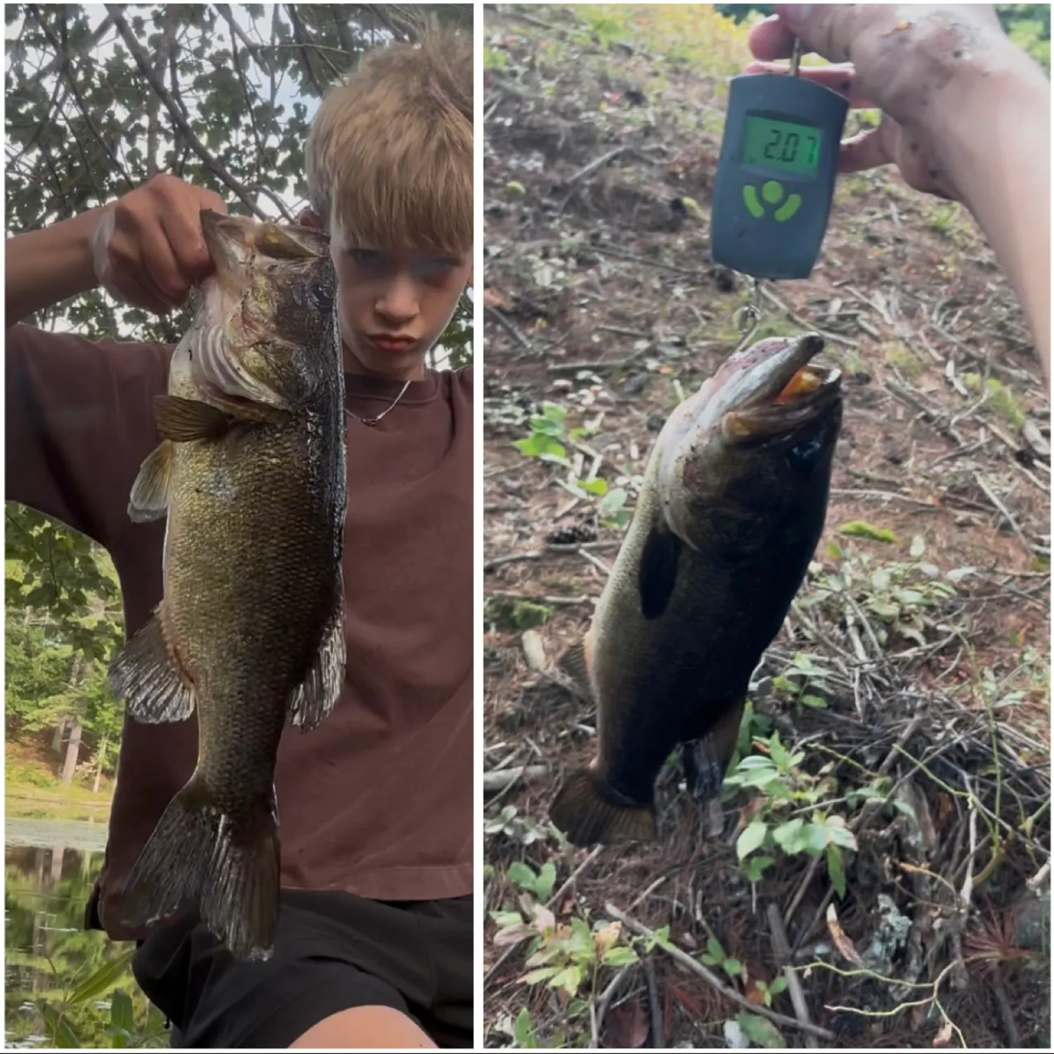 recently logged catches