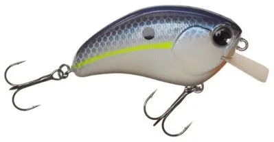 Square Bill Crankbait
