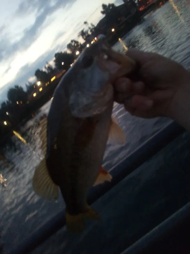 Post image from chad.ruble