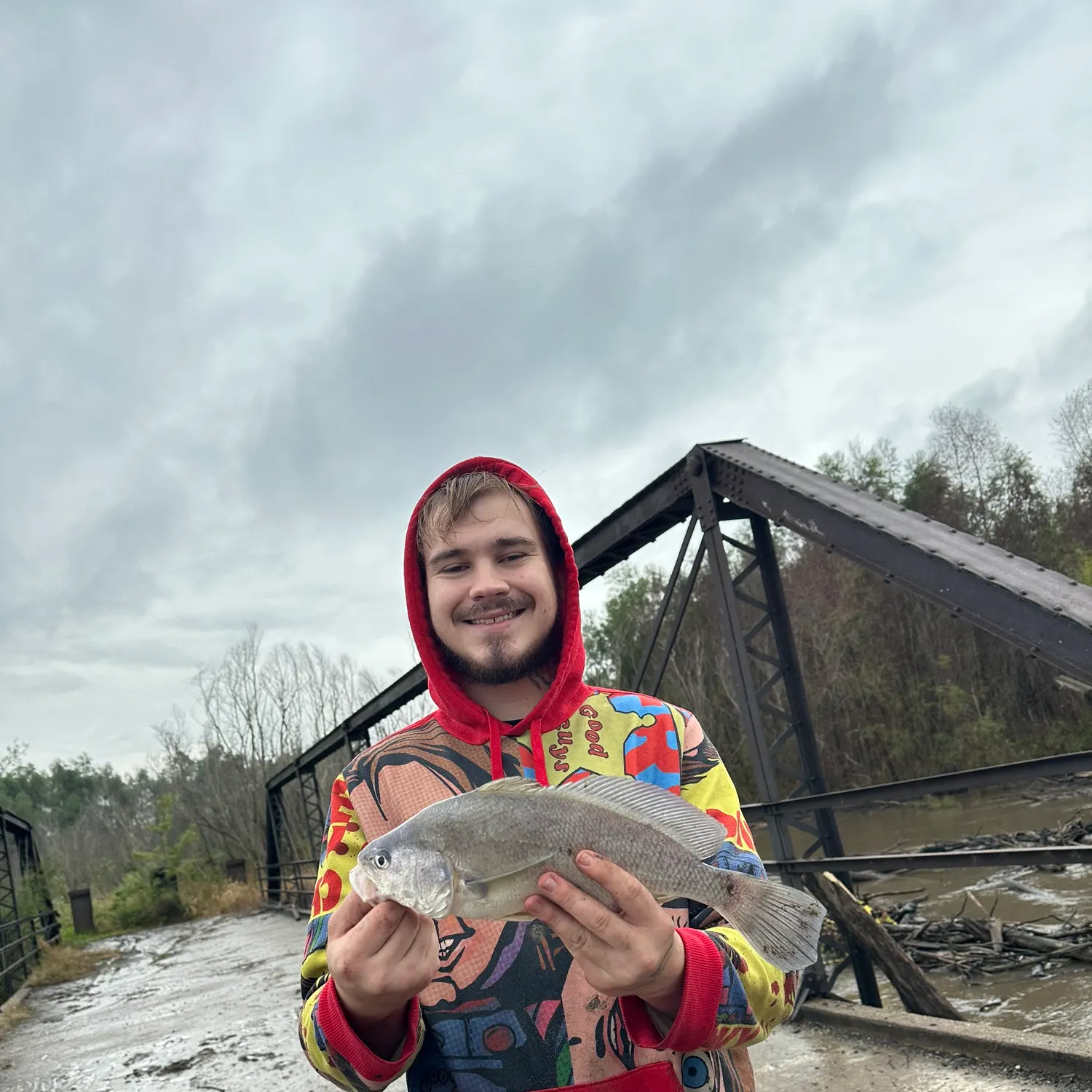 Freshwater drum caught on Fishbrain