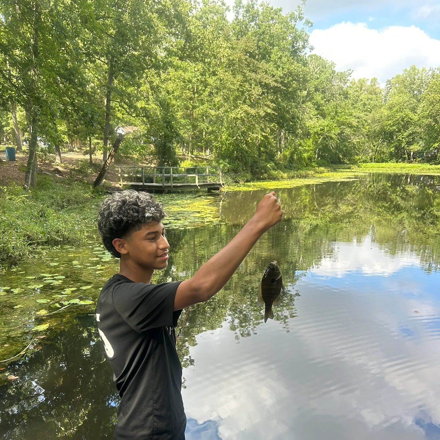 Bluegill caught on Fishbrain
