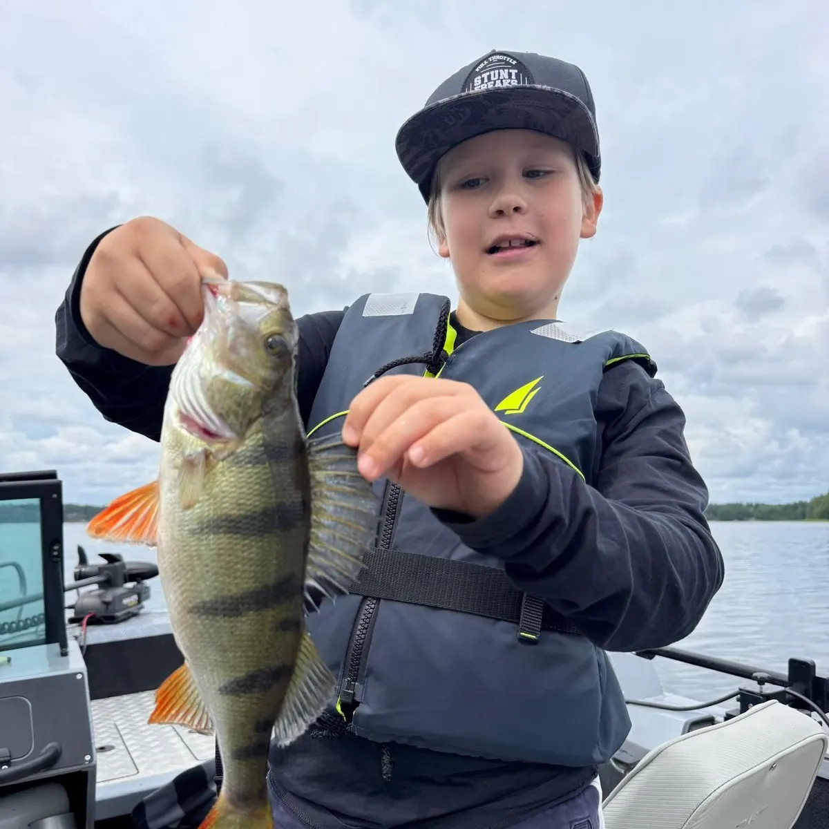 European perch caught on Fishbrain