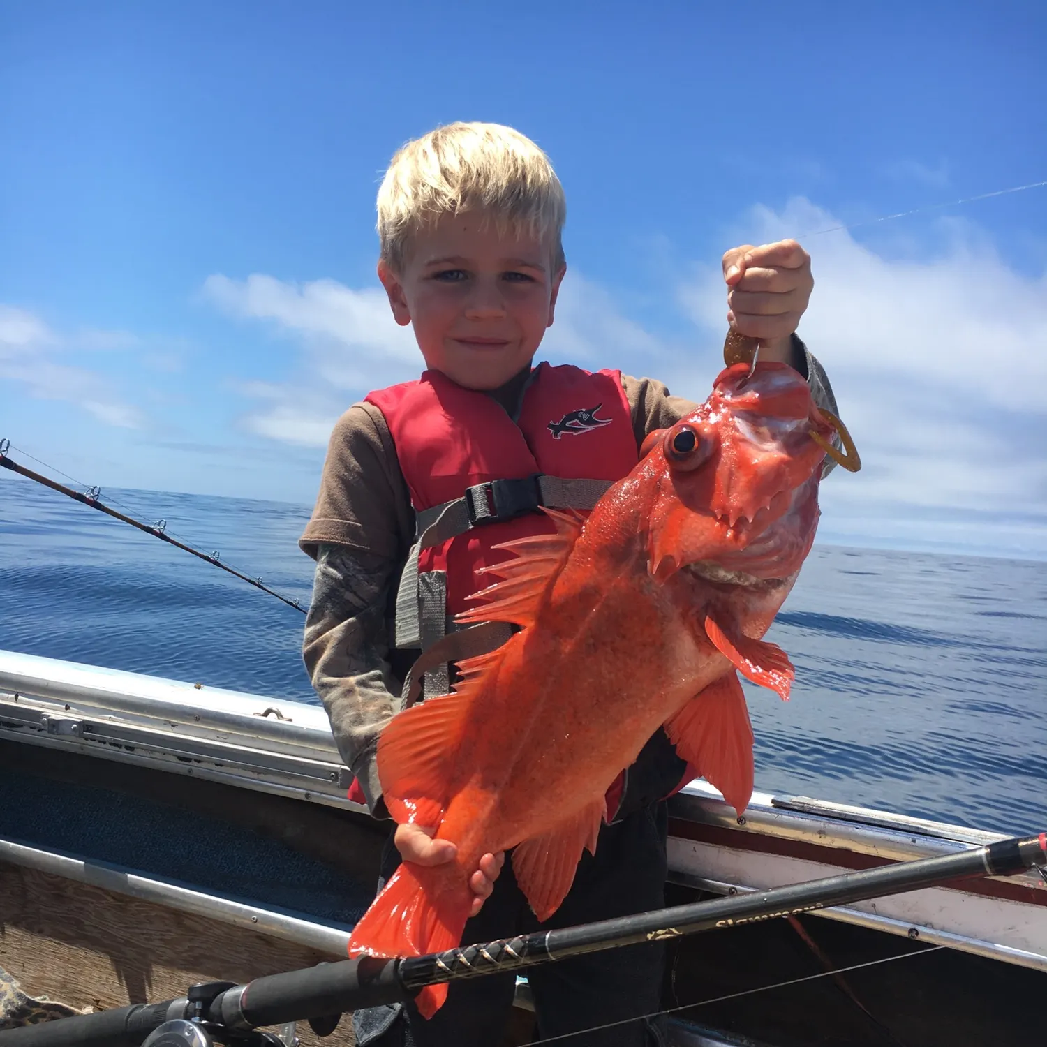 The most recent Vermilion rockfish catches on Fishbrain