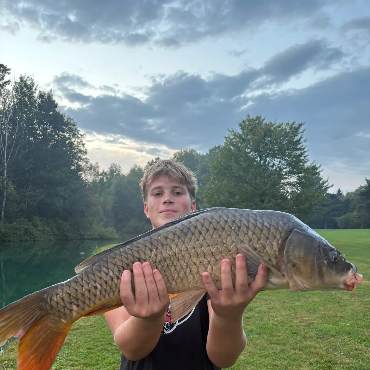 Common carp caught on Fishbrain