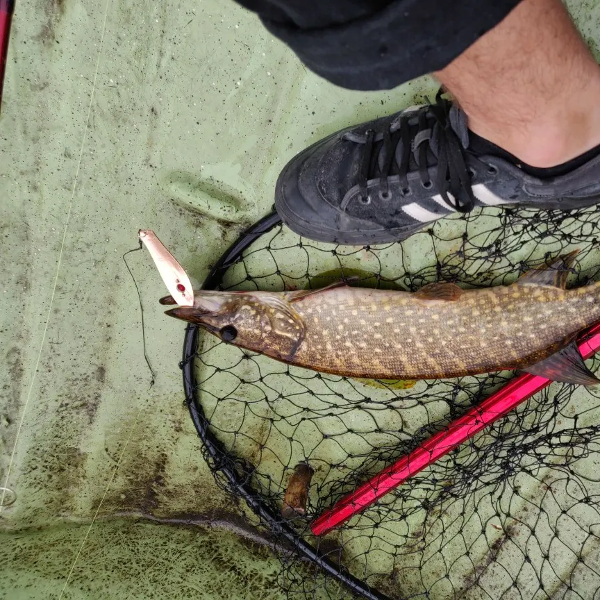 ᐅ Iso Mäkäri fishing reports🎣• Southern Finland Province, Finland fishing