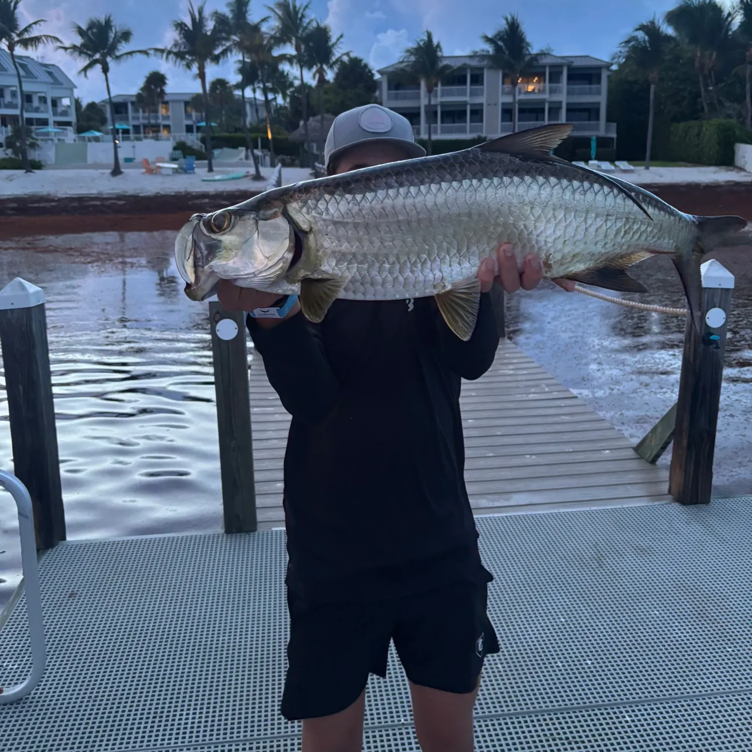 The most recent Tarpon catches on Fishbrain