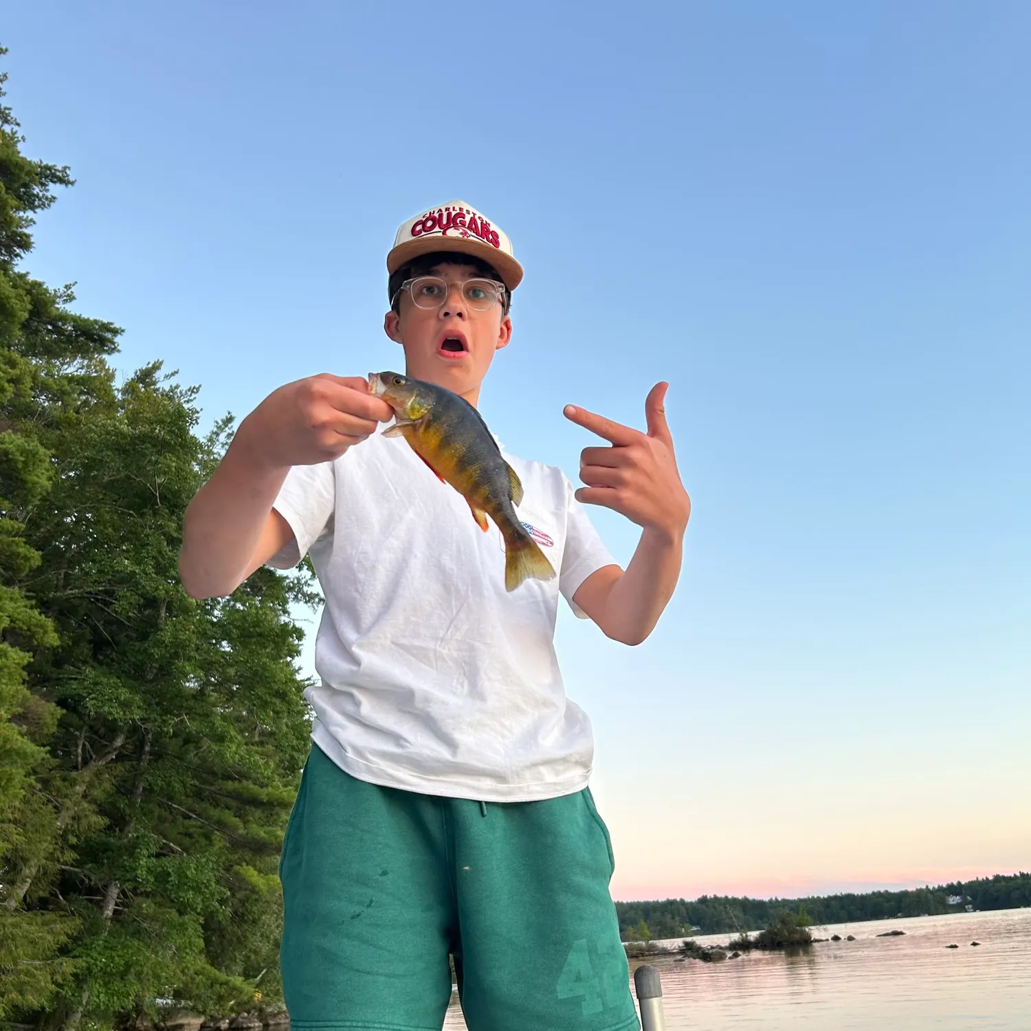Yellow perch caught on Fishbrain