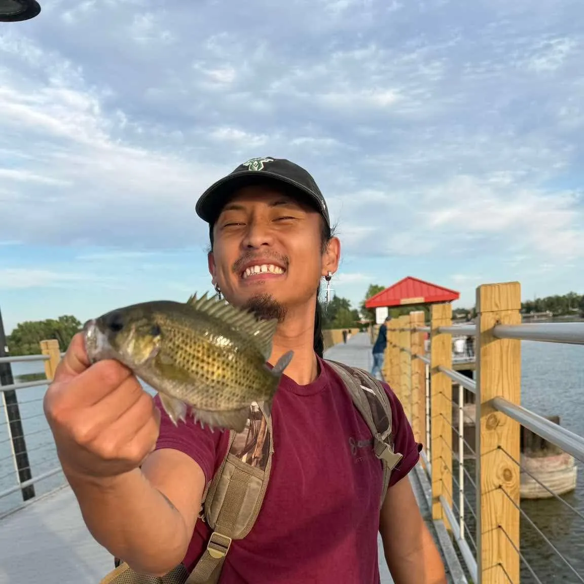 Rock bass caught on Fishbrain