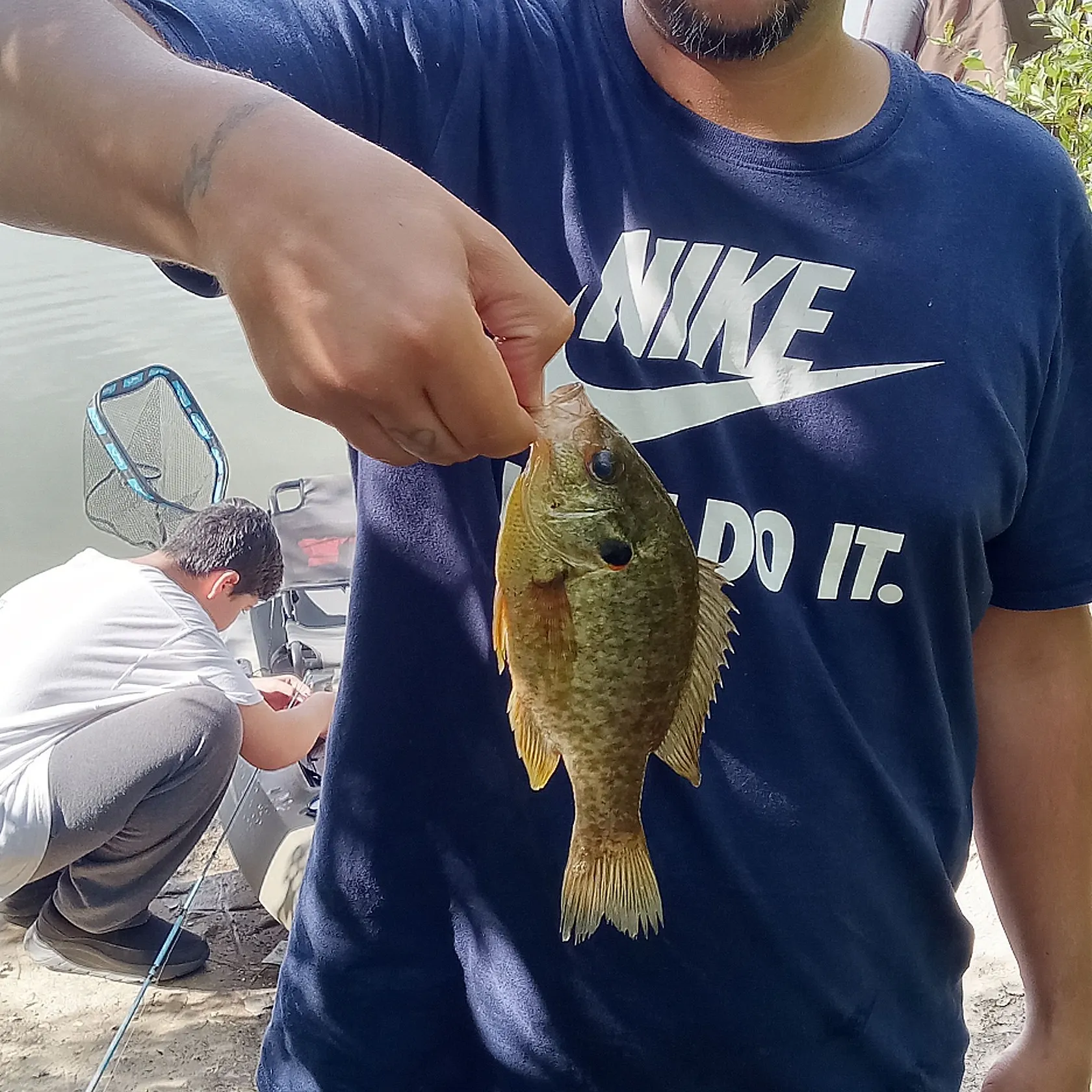Redear sunfish caught on Fishbrain