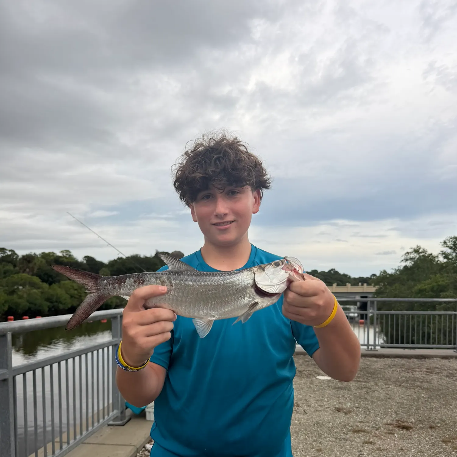 Tarpon caught on Fishbrain