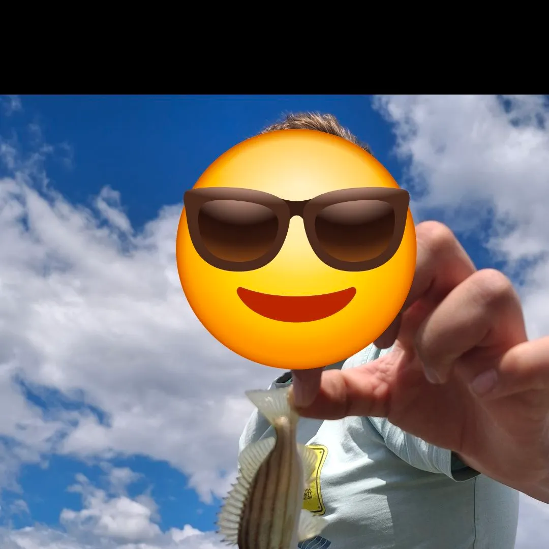 The most recent Eastern striped grunter catches on Fishbrain