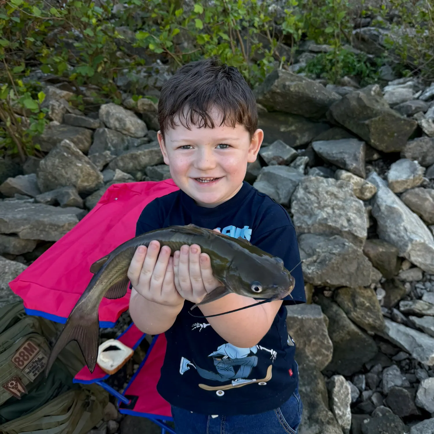 Channel catfish caught on Fishbrain