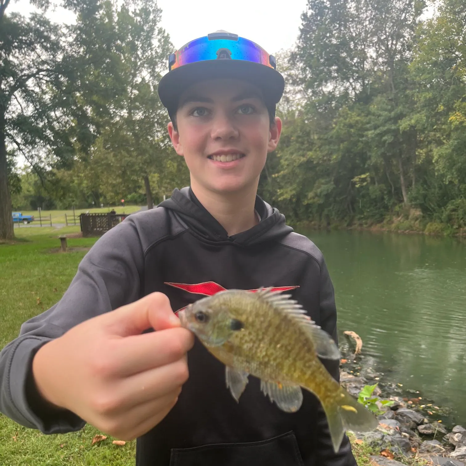Bluegill caught on Fishbrain