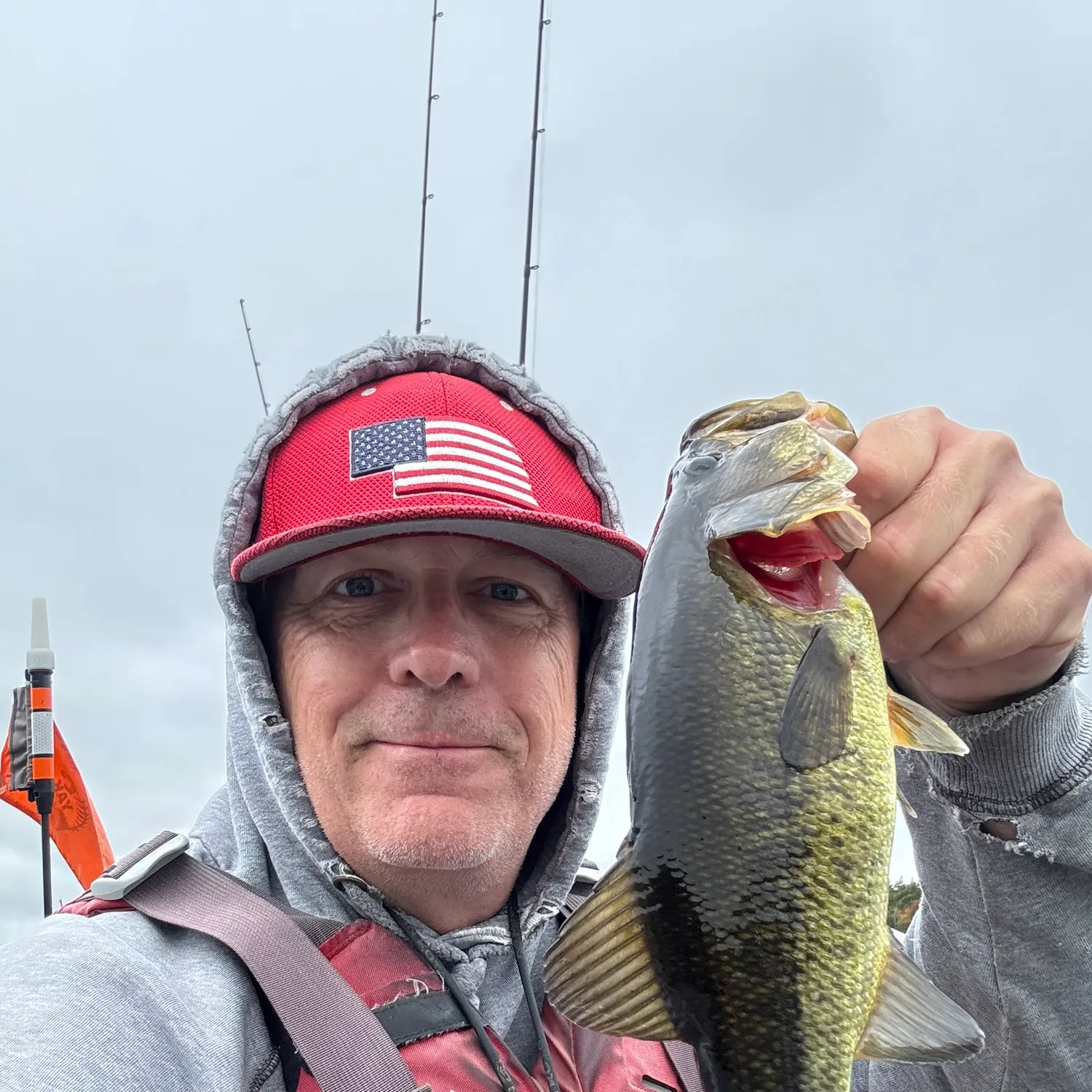 Largemouth bass caught on Fishbrain