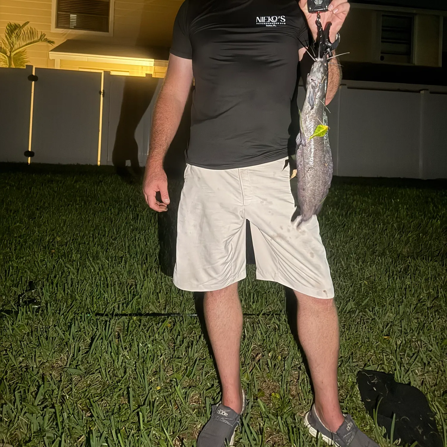 Walking catfish caught on Fishbrain