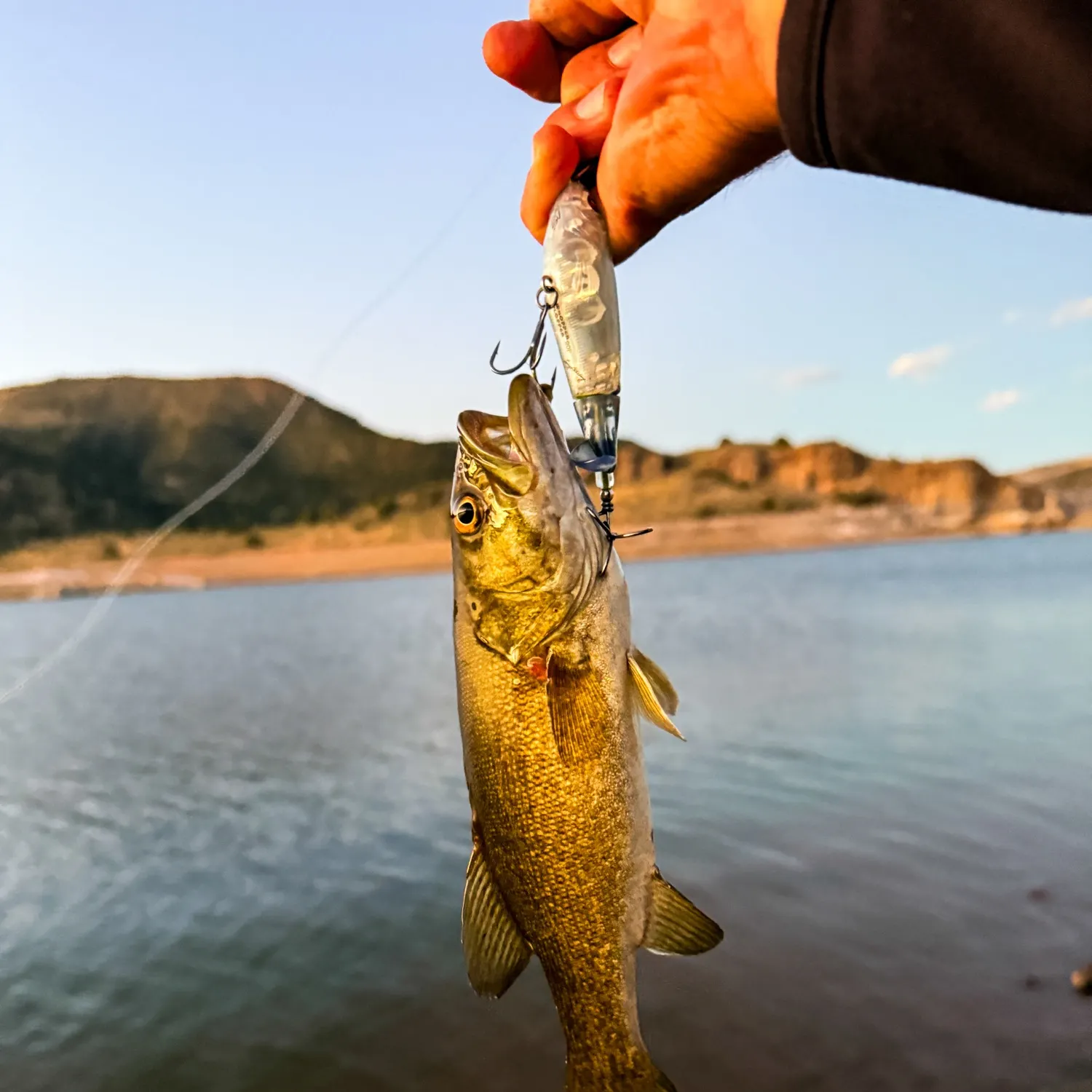 Smallmouth bass caught on Fishbrain
