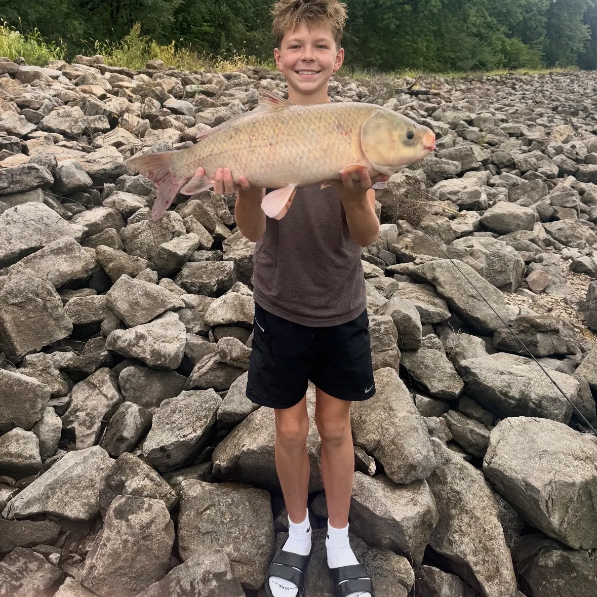 Bigmouth buffalo caught on Fishbrain