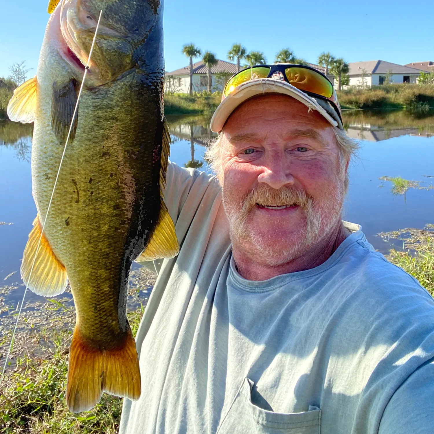 Largemouth bass caught on Fishbrain