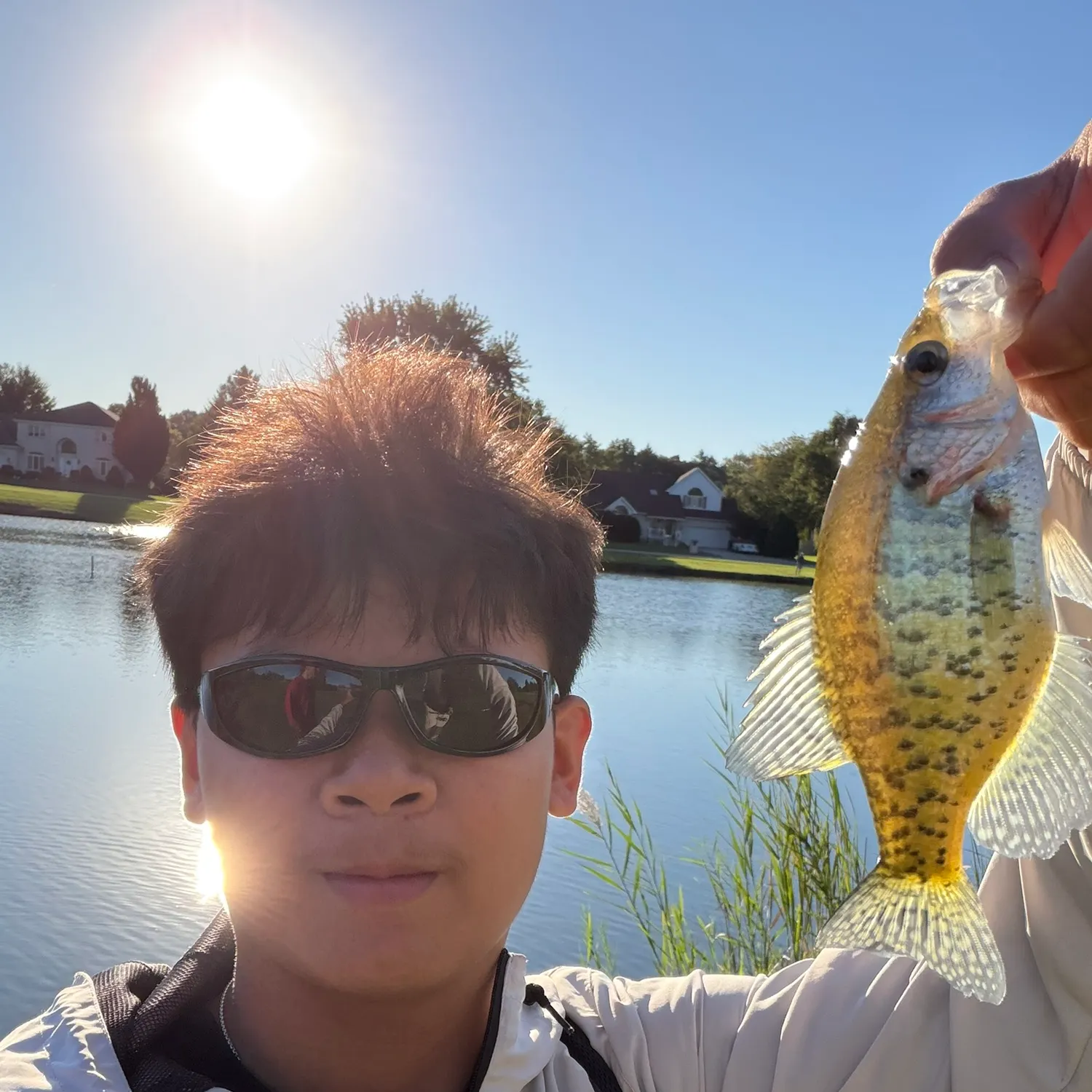 White crappie caught on Fishbrain