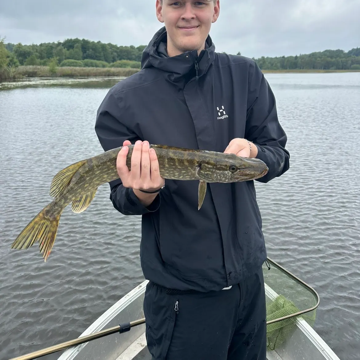 Northern pike caught on Fishbrain