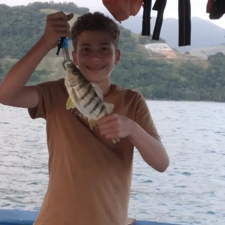 The most recent Barred grunt catches on Fishbrain