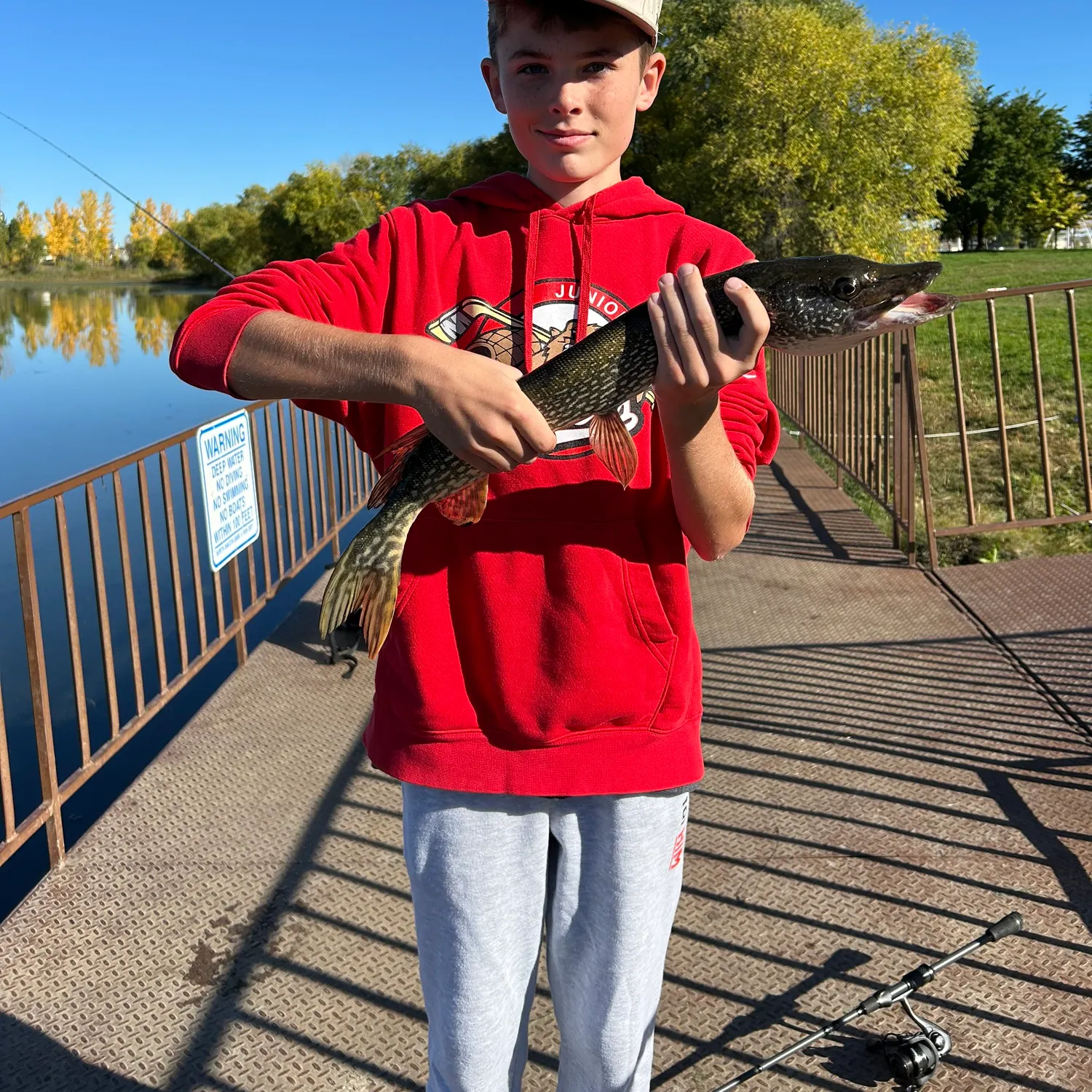 Northern pike caught on Fishbrain