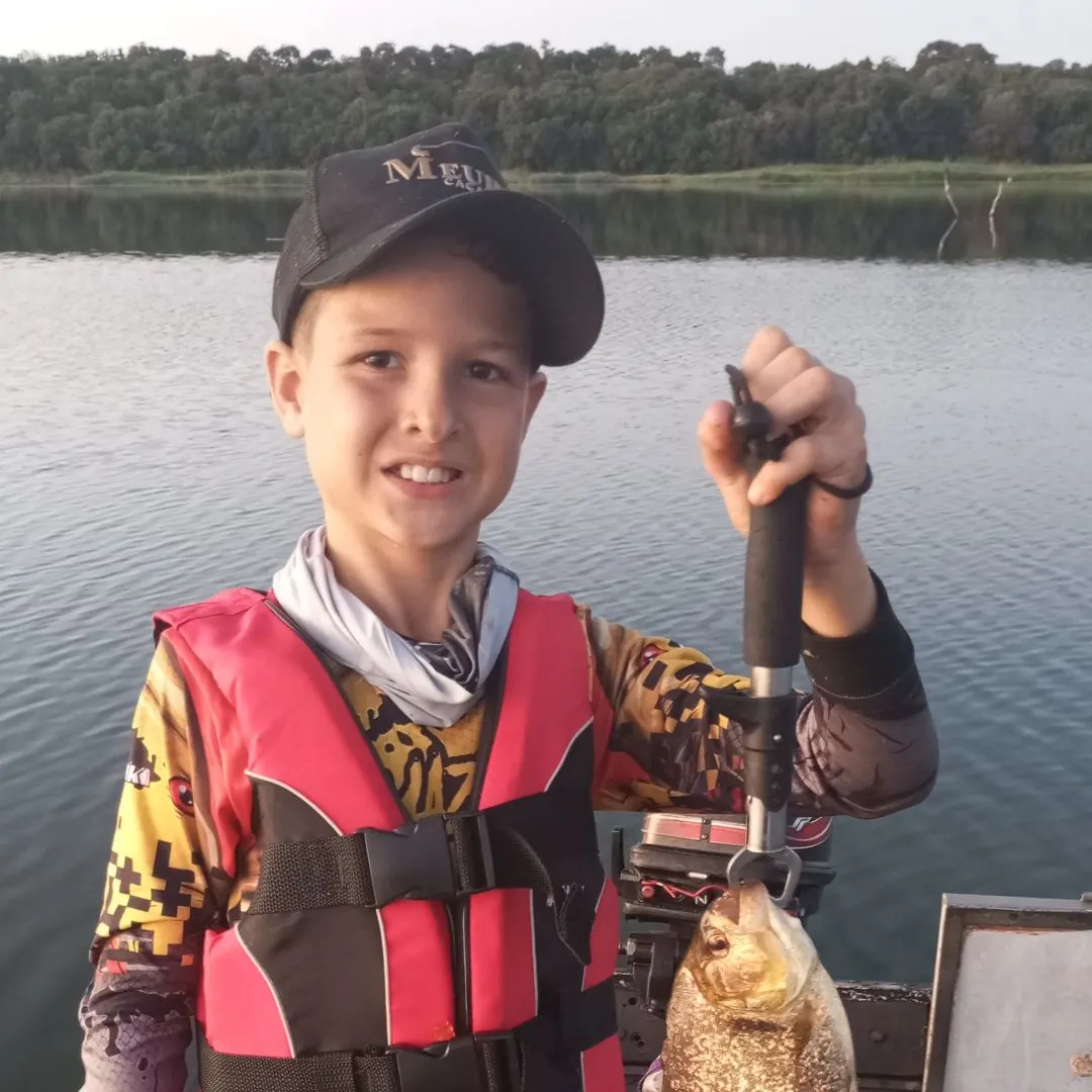 The most recent San Francisco piranha catches on Fishbrain