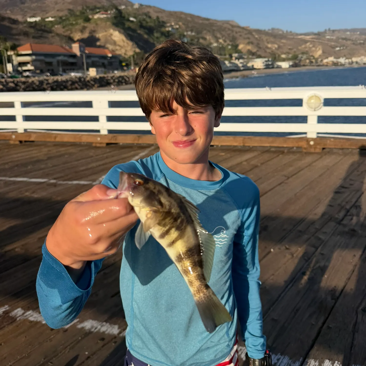 Barred sand bass caught on Fishbrain
