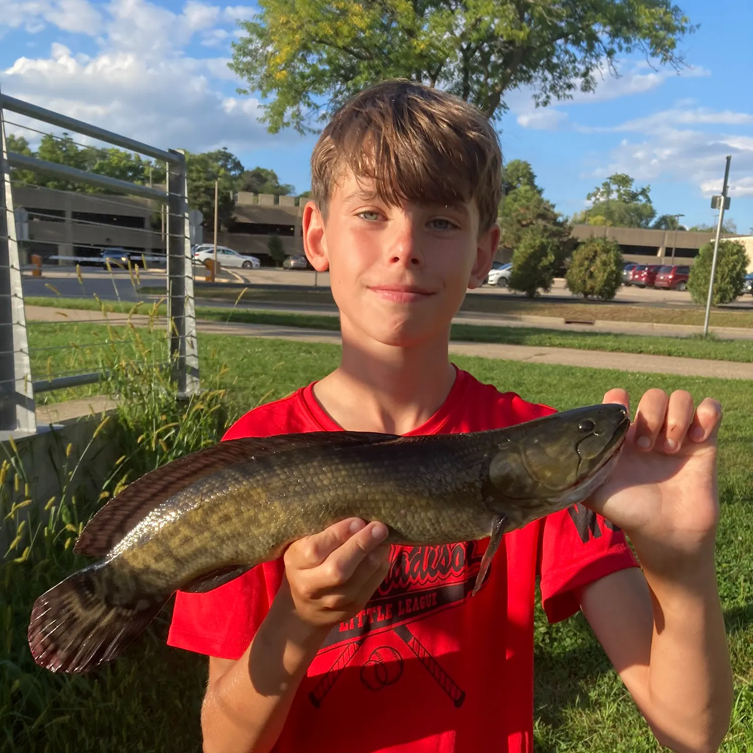 Eyetail bowfin caught on Fishbrain
