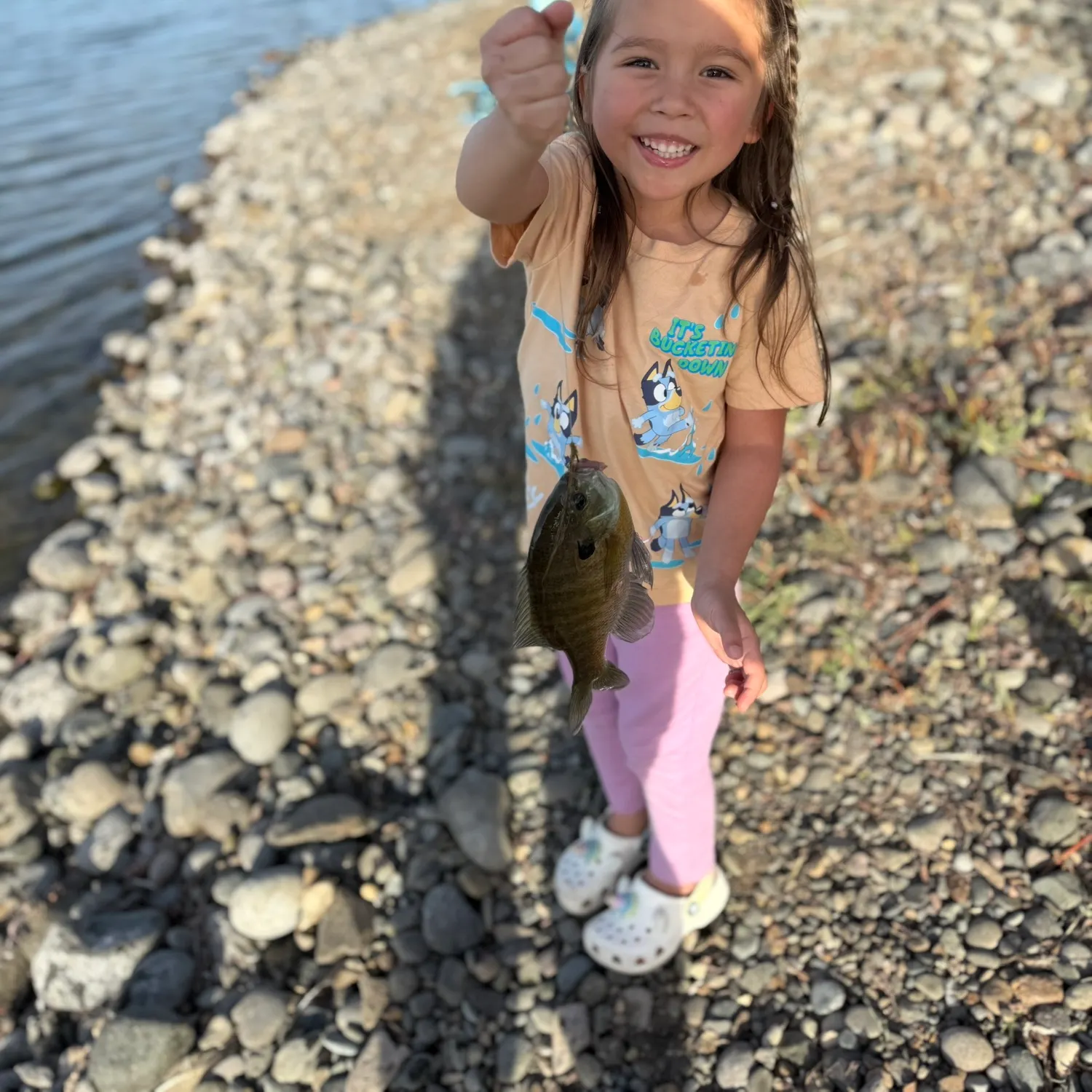 Bluegill caught on Fishbrain