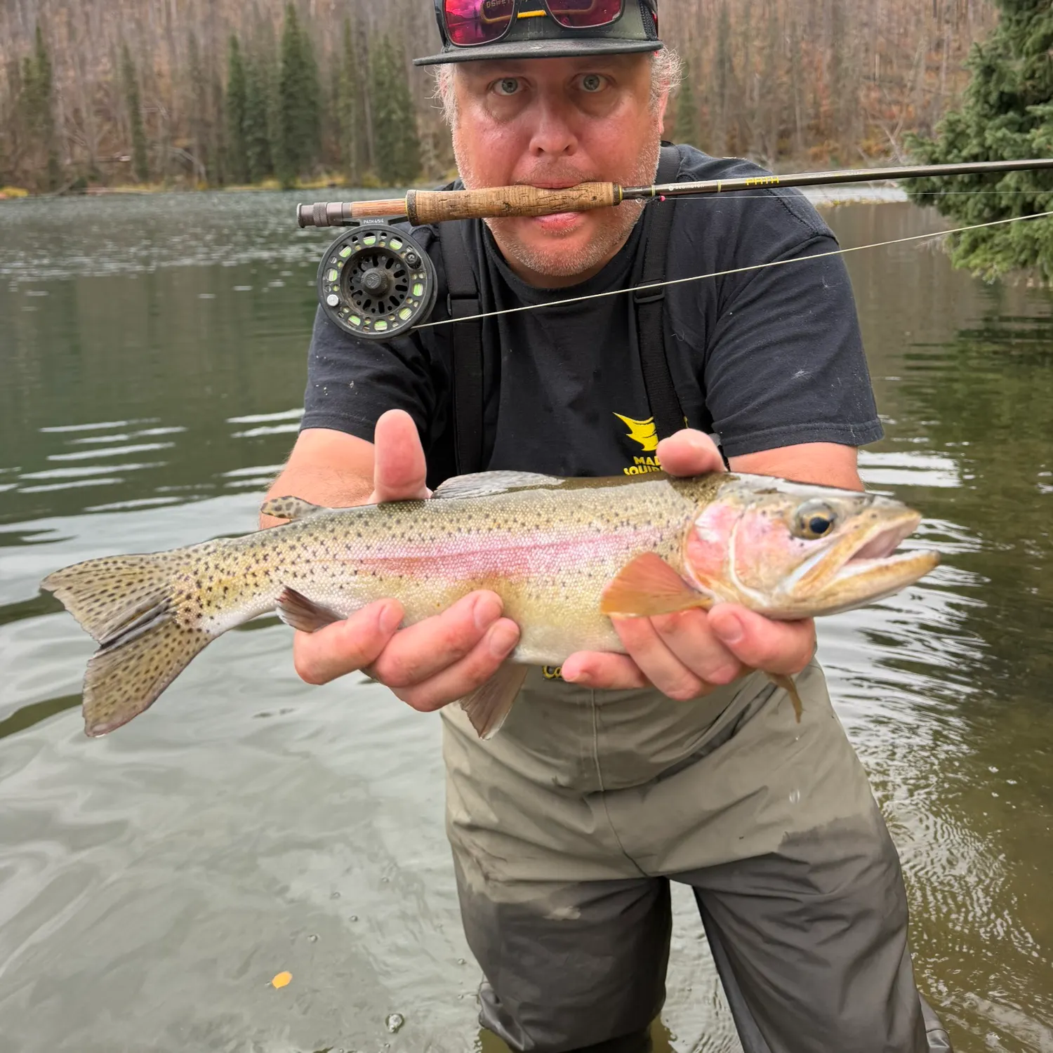 Rainbow trout caught on Fishbrain