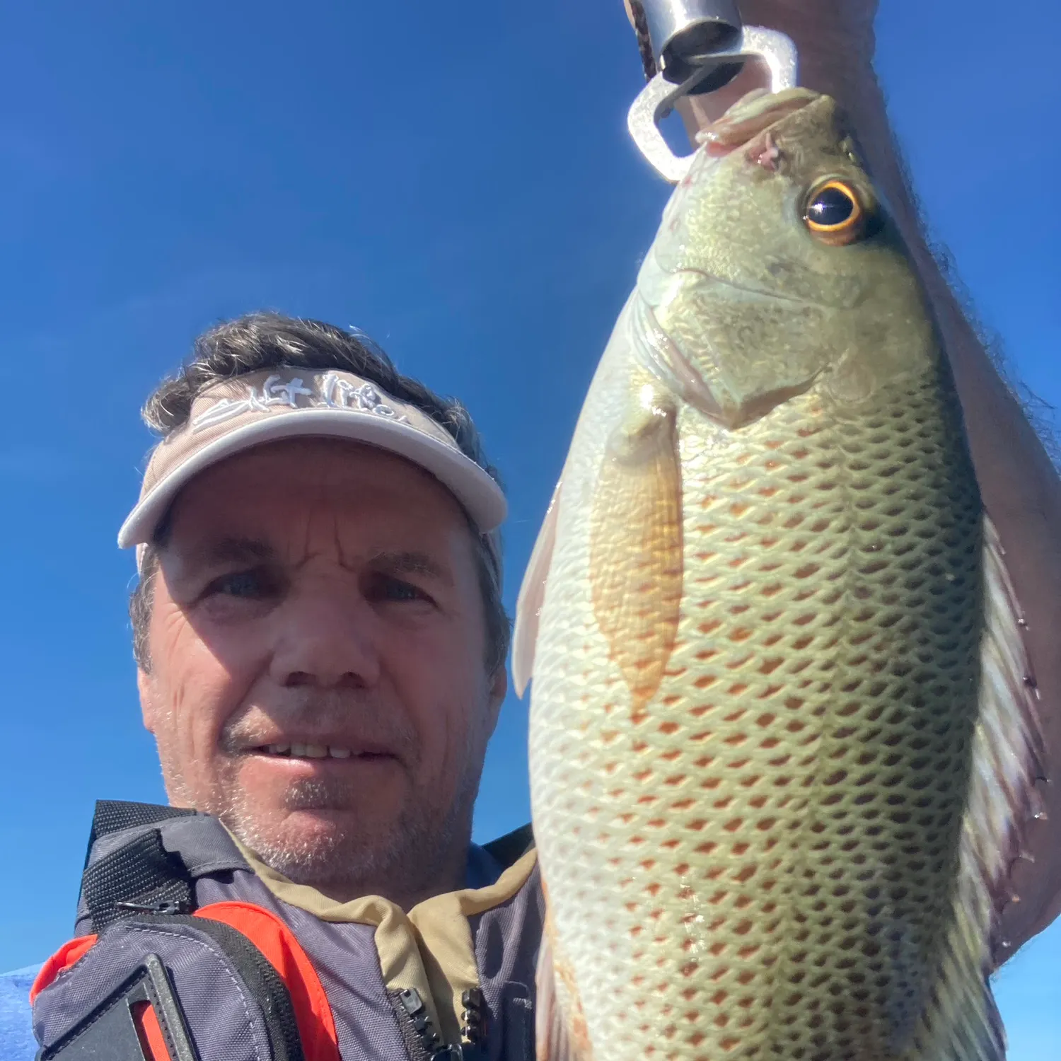 The most recent Mangrove snapper catches on Fishbrain
