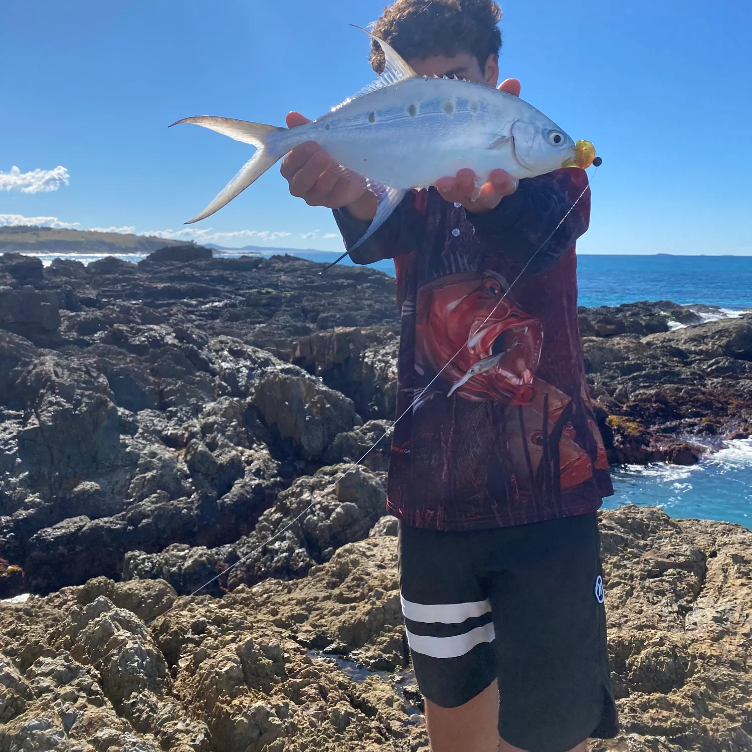 The most recent Largespotted dart catches on Fishbrain
