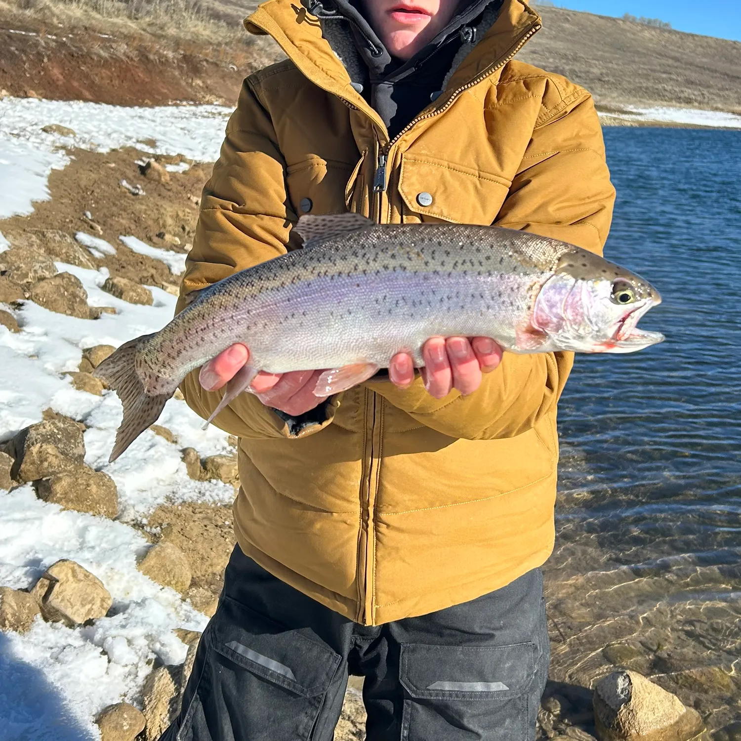 The most recent Rainbow trout catches on Fishbrain