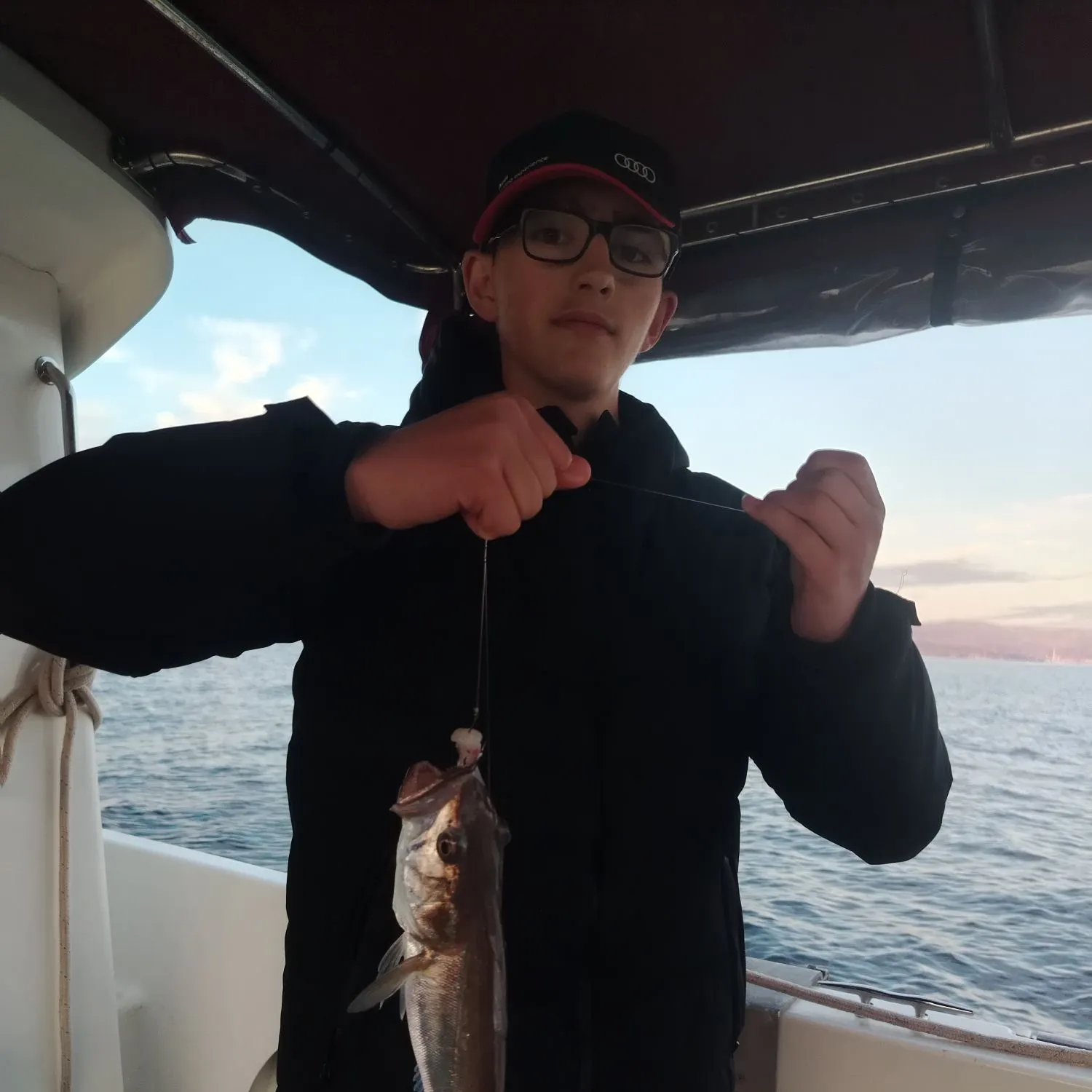 The most recent Pollack catches on Fishbrain