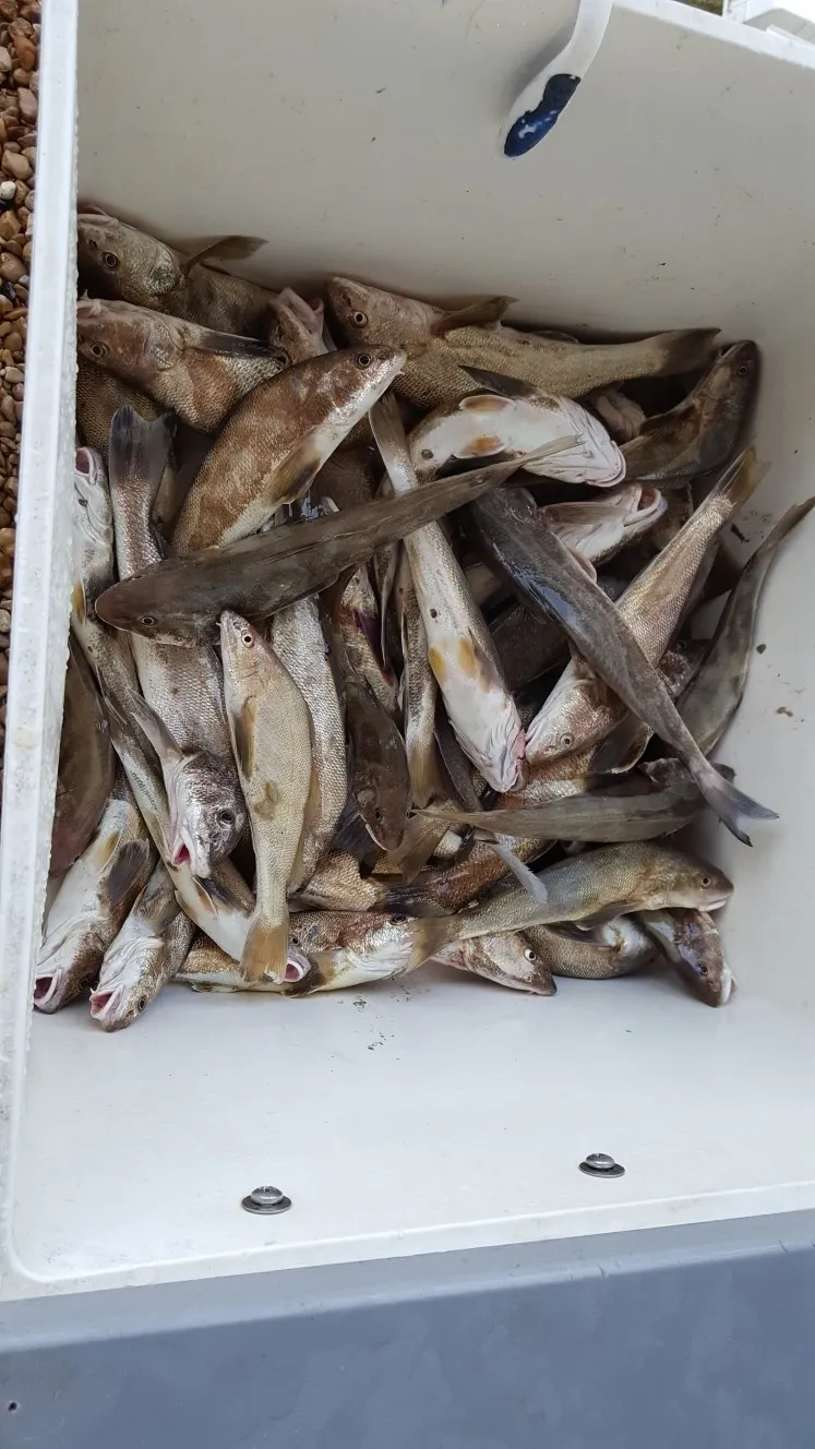 Post image from rbanulissr