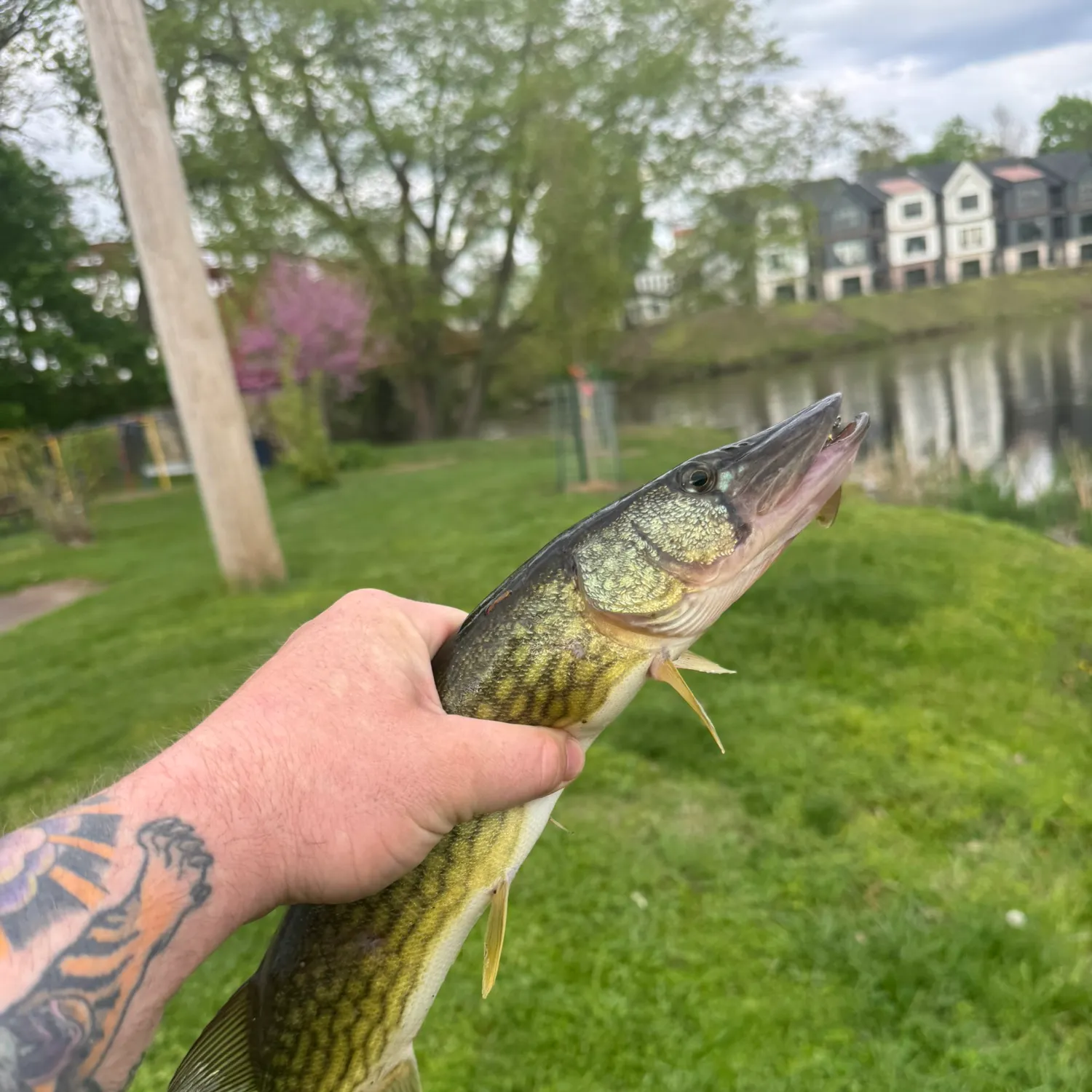 catch