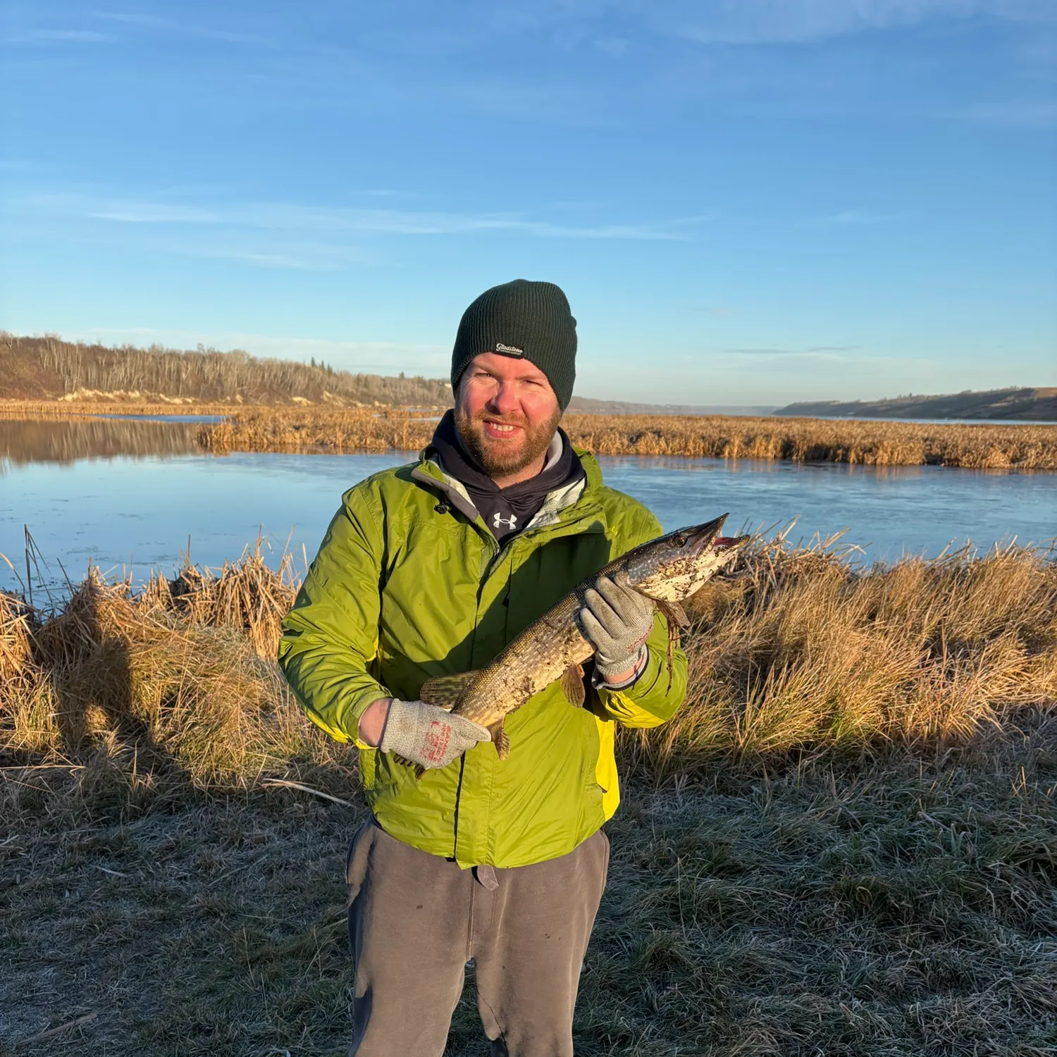 Northern pike caught on Fishbrain