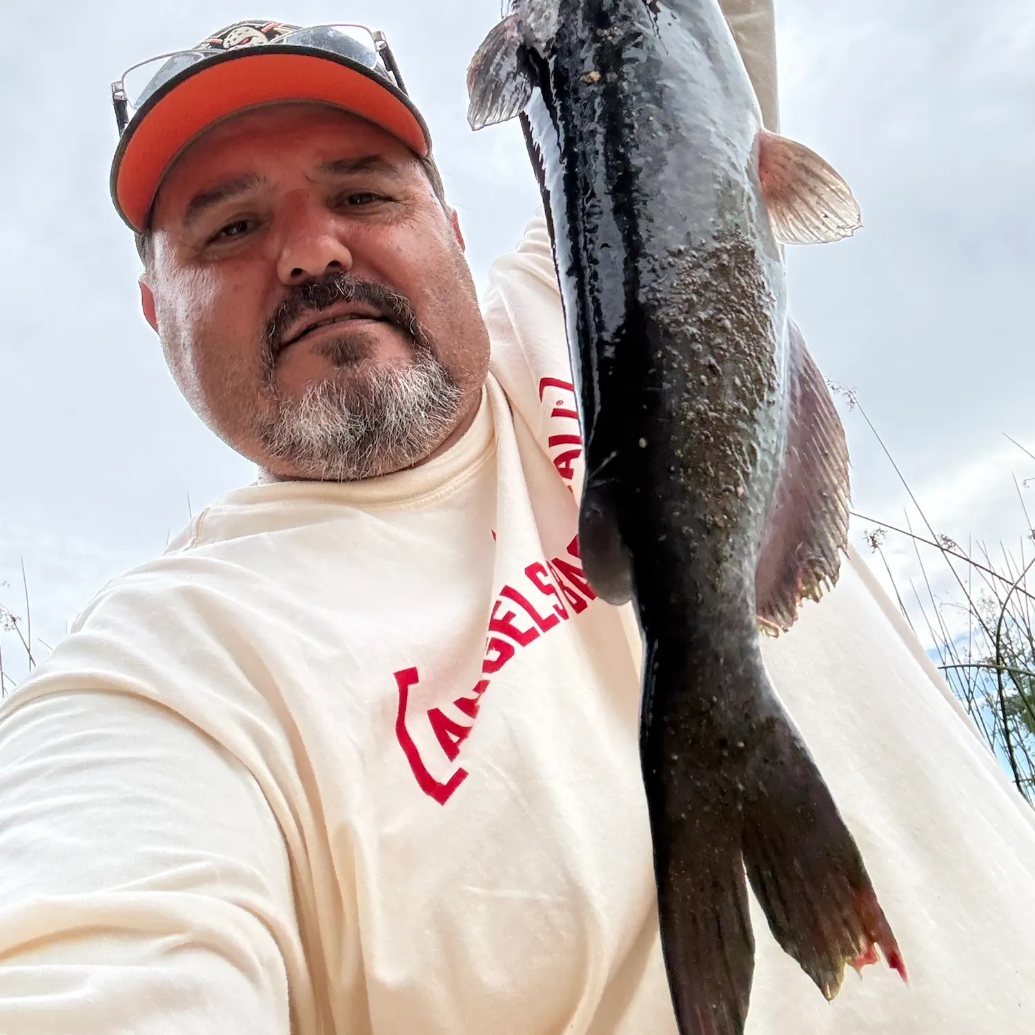 White bullhead caught on Fishbrain