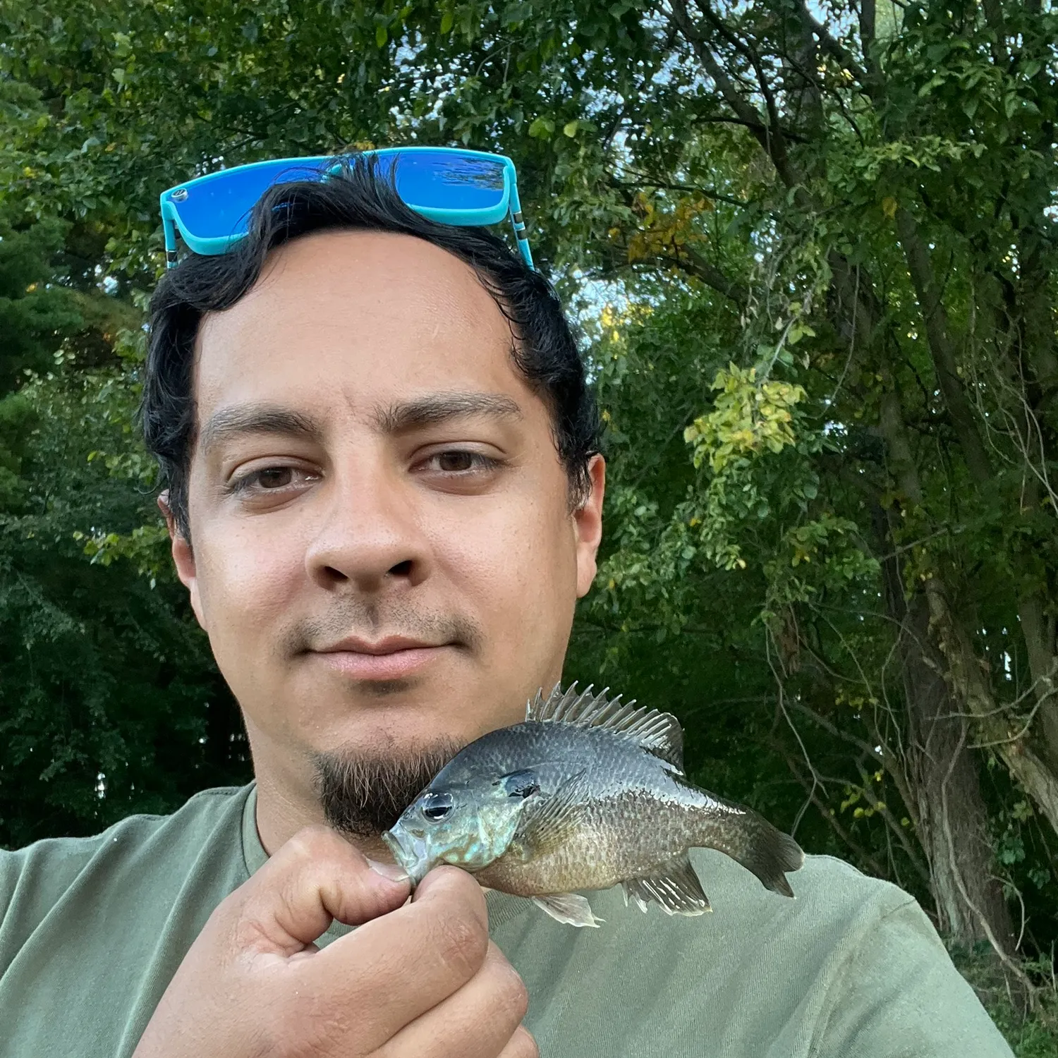 Fish caught on Fishbrain