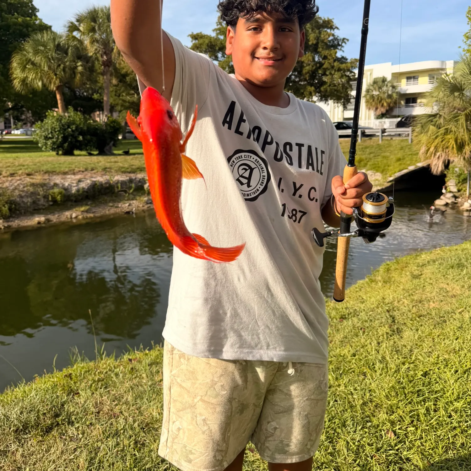 The most recent Red seabream catches on Fishbrain