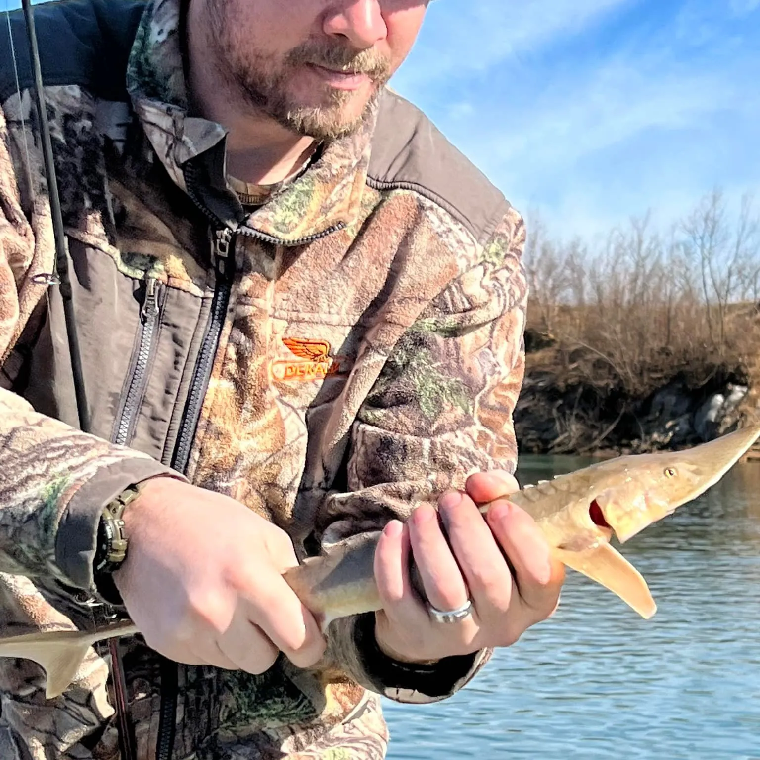 The most recent Lake sturgeon catches on Fishbrain