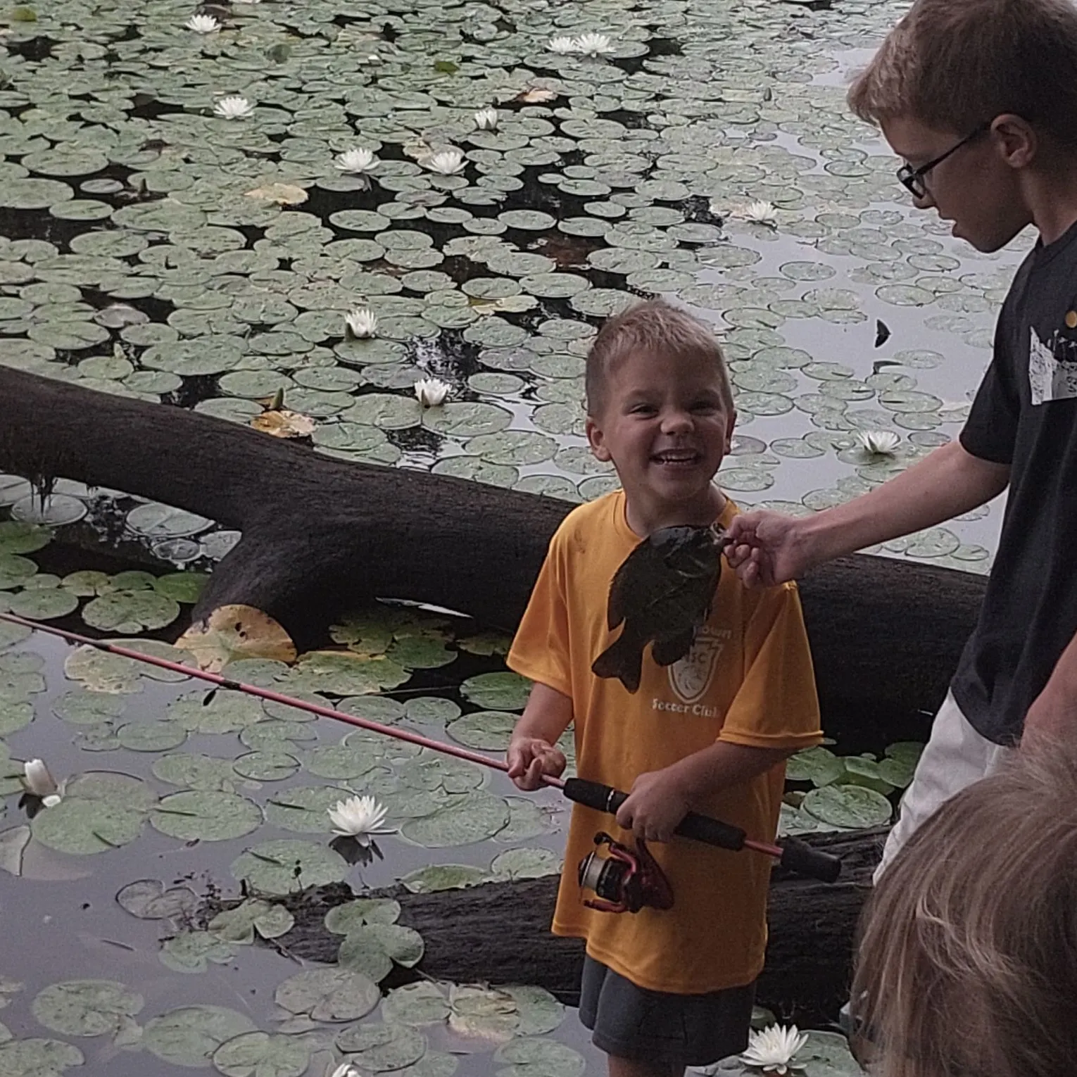 Bluegill caught on Fishbrain