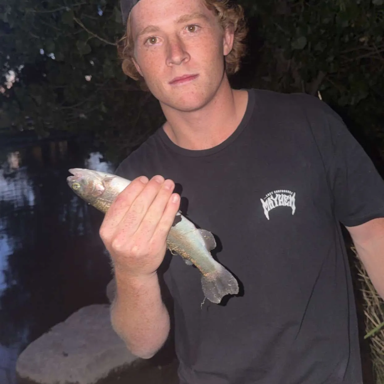 Rainbow trout caught on Fishbrain