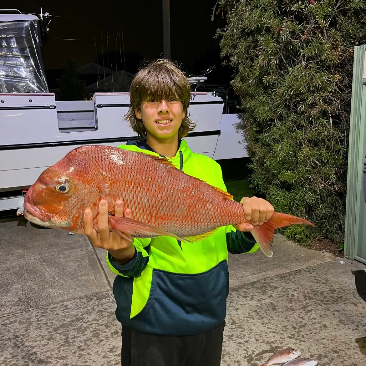 The most recent Australasian snapper catches on Fishbrain